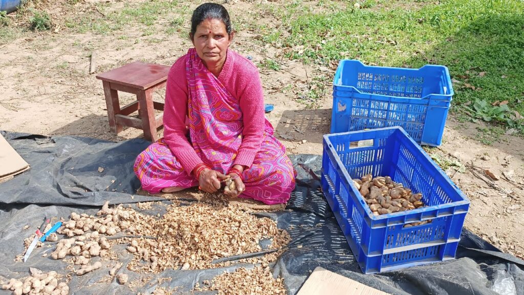 women farmers in Uttarakhand